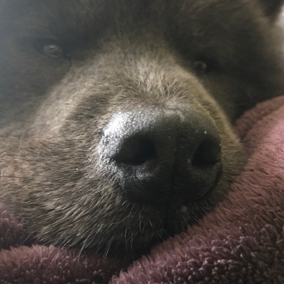 Meet your Posher, Alicia - Picture 1 of 1